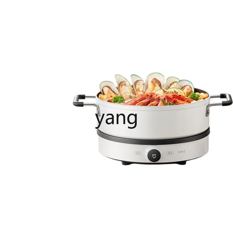 Induction Cooker - LMM İndüksiyonlu Ocak Ev Tipi Çok
