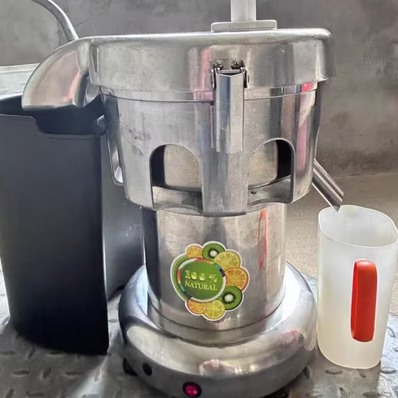 Juicer - 220V Meyve Sıkacakları Elektrikli Profesyonel Yavaş