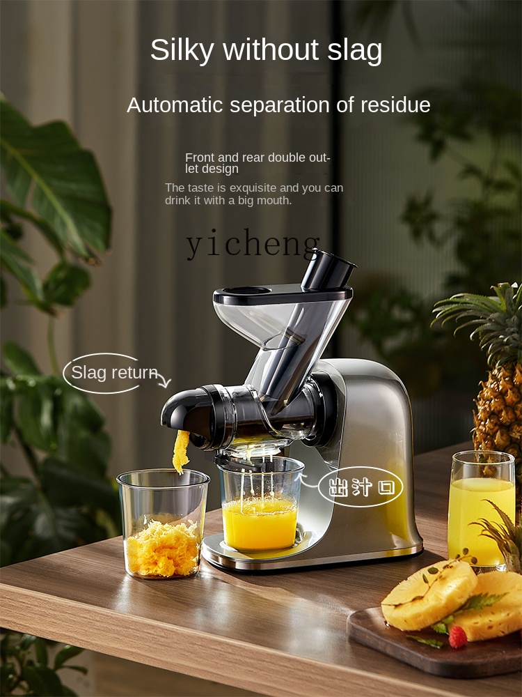 cc28 Düşük Hızlı Meyve Sıkacağ - Juicer incelemesi ve fiyatı