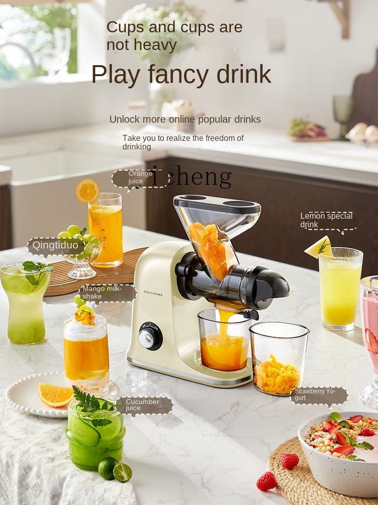 cc28 Düşük Hızlı Meyve Sıkacağ - Juicer incelemesi ve fiyatı